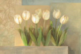 White Tulips