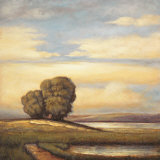 Buy Reminisce I at AllPosters.com