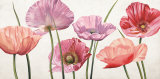 Buy Carezza di Luce at AllPosters.com