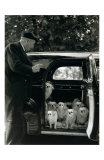 Buy Les Chien du Marquis de Cuevas, Bois de Boulogne at AllPosters.com