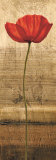Poppy Panel I