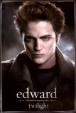 Buy Twilight at AllPosters.com