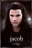 Buy Twilight at AllPosters.com