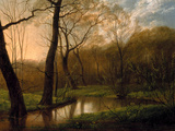 Spring Landscape Near Leipzig