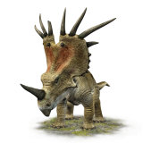 Styracosaurus with a Massive Horned Frill