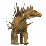 Tuojiangosaurus with a Thorny Tail and Rows of Bony Plates