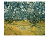 Buy Olive Trees at AllPosters.com