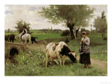 Buy A Well-Guarded Cow at AllPosters.com