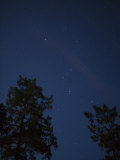The Constellation Orion at Night