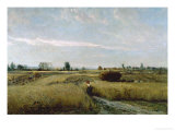 Harvest