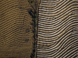 Buy White Screens Protect Half the Plantings on a Plot Near Antigua at AllPosters.com