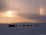 Buy Dog Musher and His Team Travel Under a Sun Dog Rainbow at AllPosters.com