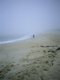 Buy Mother and Child Walk Hand in Hand on a Misty Beach at AllPosters.com