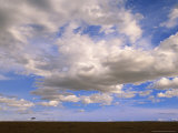 Cumulus Clouds Floating Above Grasslands During Short Rainy Season Photographic Print