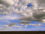 Cumulus Clouds Floating Above Grasslands During Short Rainy Season Photographic Print
