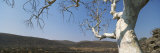 Buy Landscape View in Namibia at AllPosters.com