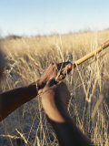 Buy San Bushman Hunts with a Bow and Arrow at AllPosters.com