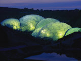 Buy Exterior View of the World's Largest Greenhouse, Lit From Within at AllPosters.com