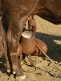 Buy Himba Woman Milks a Cow in Opuwo, Namibia at AllPosters.com