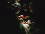 Surgeons Conduct a Kidney Transplant