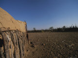 Buy Shelter Made Out of Cow Dung and Sticks by the Himba Tribespeople at AllPosters.com