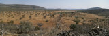 Buy Scenic View of the Landscape in Namibia at AllPosters.com