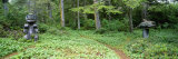 Killer Whale and Black Bear Totem Poles in Kasaan Totem Park, Alaska