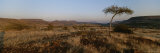 Buy Scenic View of a Lone Tree in Namibia at AllPosters.com