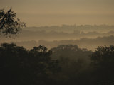 Buy Fog Hangs Over the Tree Tops at Sunrise at AllPosters.com