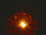 Buy Group of San Bushman Tribesmen Sit Around a Campfire at Night at AllPosters.com