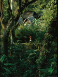 Woman Carries a Pail Past a Forest Village with Thatched Roofs