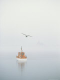 Seagull Soaring over a Boat at Anchor on a Foggy Morning