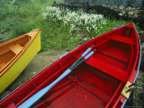 Colorful Rowboats Upon a Shore Near Wild Daisies