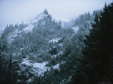 Buy Twilight View of Olympic Mountains and Evergreens in Snowy Landscape at AllPosters.com