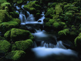 Buy Moss Covered Rock Surrounding a Cascading Stream at AllPosters.com
