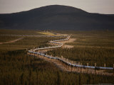 Buy Trans-Alaska Pipeline Near Prospect Creek, Brooks Range at AllPosters.com