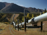 Buy Trans-Alaska Pipeline at Squirrel Creek at AllPosters.com