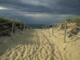 Buy Fence-Lined Path To the Beach at Cape Cod National Seashore at AllPosters.com