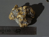 Buy Large Gold Nugget with Quartz at AllPosters.com