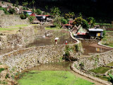 Buy Houses and Rice Terraces in Village at AllPosters.com