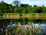 Man Fishing at Joe's Pond