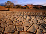 Buy Cracked Mud, Dunes and Camel Thorn Trees Near Sossusvlei at AllPosters.com