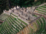 Buy Terraced Ruins on Inca Trail, Huinay Huayna at AllPosters.com