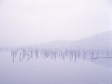 Buy Lake Eildon in Rain at AllPosters.com