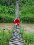 Buy Tourists Crossing Old Hanging Bridge on Trek Near Dalat at AllPosters.com