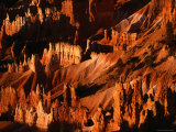 Hoodoos in Bryce Amphitheatre