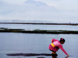 Buy Woman Reaching into Water with Gunug Agung in Background at AllPosters.com