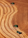 Buy Aerial Combine Harvesters Harvesting Wheat, Hamilton County at AllPosters.com