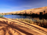Buy Oasis in the Sahara Desert at AllPosters.com