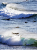 Surfing at Southern End of Bondi Beach